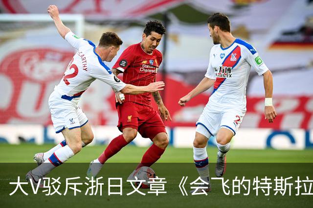 大V驳斥浙日文章《会飞的特斯拉敲打中国企业》浮夸装腔作势！网友：好好一个车，你翻滚它干什么玩意？